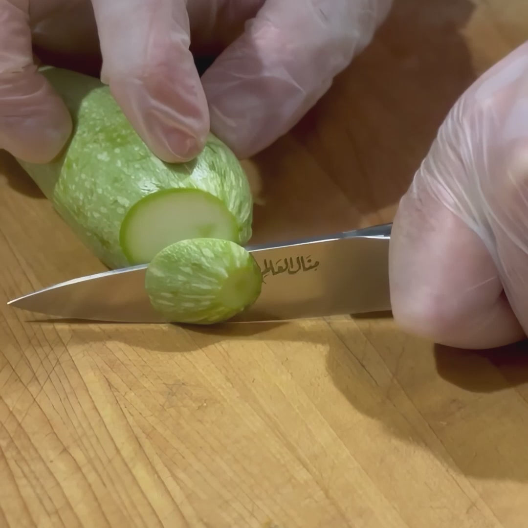 German Stainless Steel Paring Knife