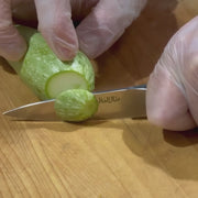 German Stainless Steel Paring Knife